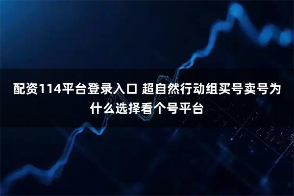 配资114平台登录入口 超自然行动组买号卖号为什么选择看个号平台